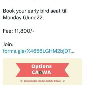 Nimblr Options Canwa Workshop